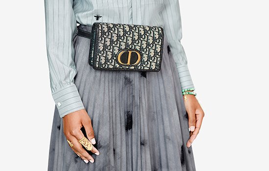 sac ceinture dior