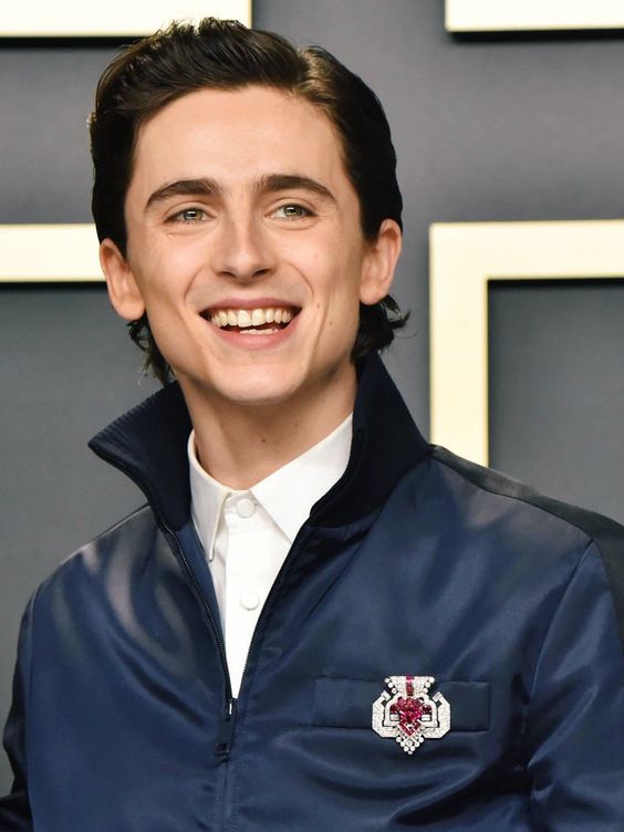 Timothée Chalamet Vintage Cartier Brooch