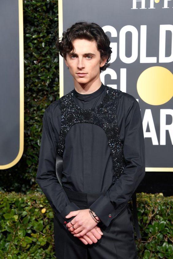 Louis Vuitton Harness Accessory Chalamet