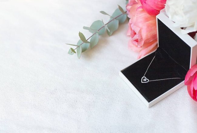 Choisir le collier parfait