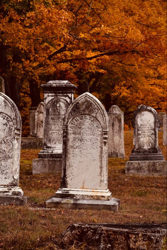 Autumn Cemetery Samhain