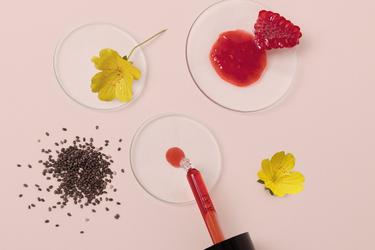 LIA STILLLIFE 052210466 crop