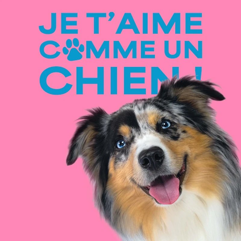 I Love You Like a Dog! : The Woof Exhibition at Le Bon Marché 2 Poster for the exhibition I Love You Like a Dog! at Le Bon Marché