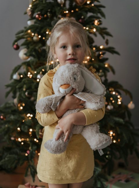A plush toy meant to last beyond Christmas Modalova scaled