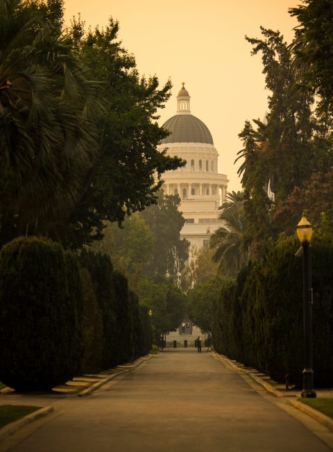 Addresses attitude and carefully chosen moments in Sacramento Modalva scaled