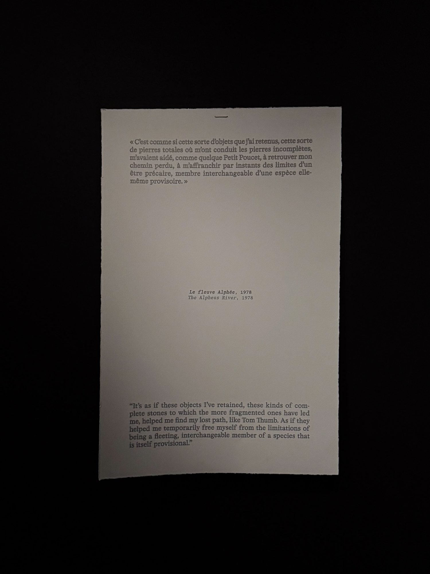 Text Septaria Roger Caillois at the Dreams of Stones exhibition