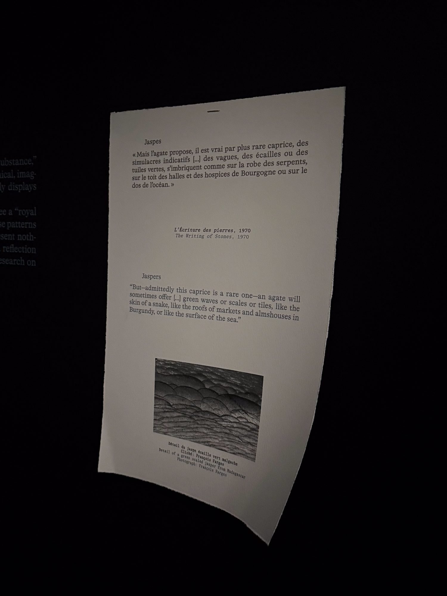 Text jaspers Roger Caillois expo Dreams of Stones