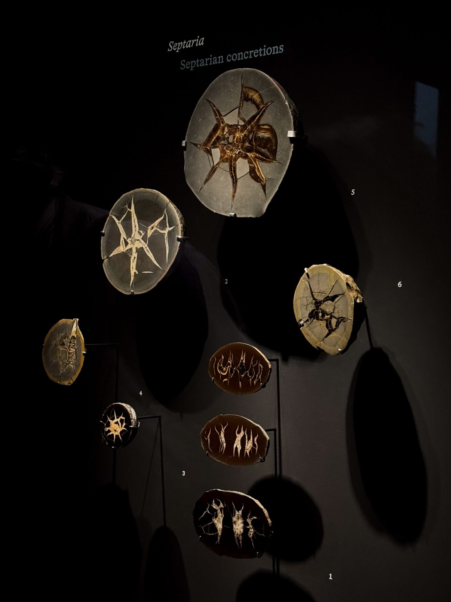 Septaria minerals exhibition Dreams of Stones School of Jewelry Arts