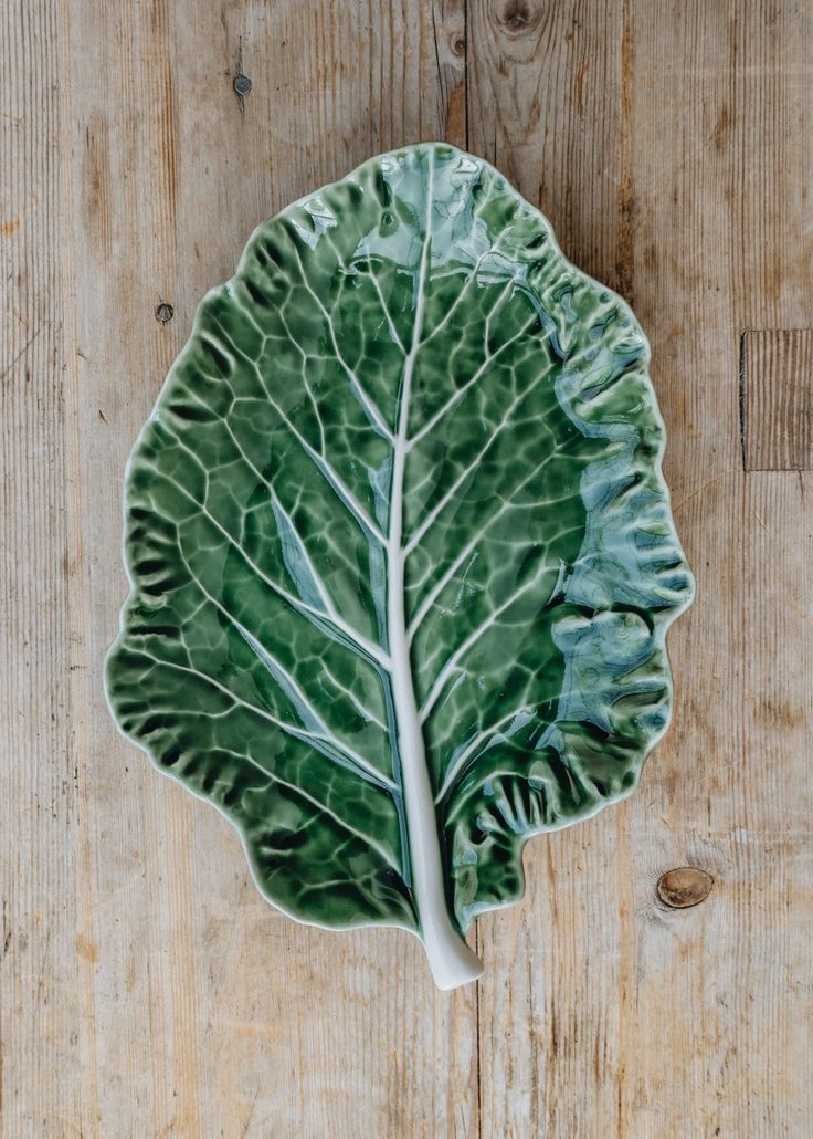 Cabbage leaf dish