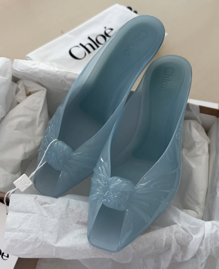 Jelly Shoes Making a Comeback in Spring Trends? 9 Chloé jelly mules SS26