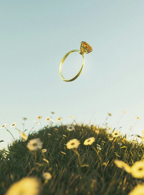 Buy or rent A new approach to the engagement ring Modalova