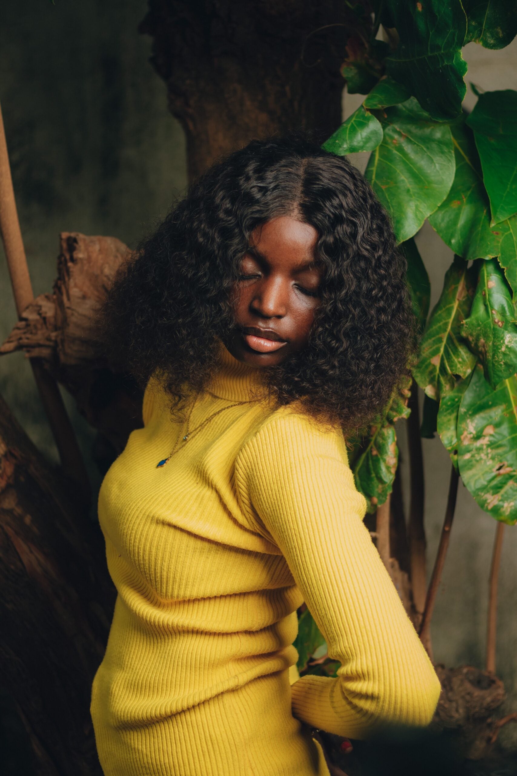 Why baobab is redefining Autumn curl care Modalova scaled